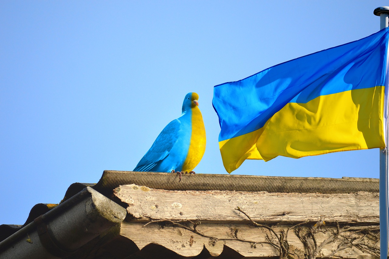 Softline-it надає постраждалим від війни регіонам гуманітарну допомогу